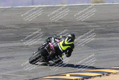 media/Feb-04-2024-SoCal Trackdays (Sun) [[91d6515b1d]]/4-Bowl Backside (11am)/